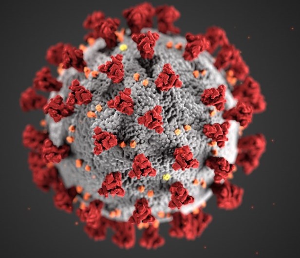 AVVISO EMERGENZA CORONAVIRUS